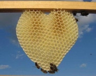We Heart It의 {collection_name} 이미지 1000+개 | aesthetic, indie 그리고 photography 이미지 더 보기 photography 