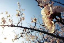 New beginnings | blue, flowers 그리고 lovely