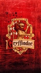 harry potter, magic 그리고 griffindor We Heart It의 이미지