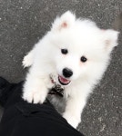 cute, tumblr 그리고 white We Heart It의 이미지