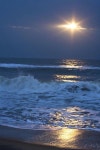 tumblr, grunge 그리고 blue We Heart It의 이미지