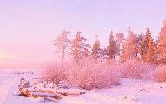 We Heart It의 이미지