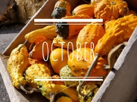 OCTOBER 🎃 wallpaper  | wallpaper, autumn 그리고 Halloween