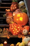 주식회사 펌킨펌프 | Pumpinks | autumn, Halloween 그리고 pumpinks