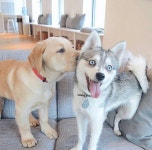 love, cute 그리고 couple We Heart It의 이미지