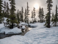 Photography by James Wheelerhttps://extraordinaryearth.org/post/180996600906/photo-by-james-wheeler-from-pexelscom | winter, snow... 