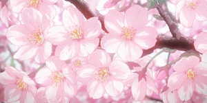 pink, gif 그리고 anime We Heart It의 GIF