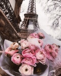 j e c a a h🌹 | beautiful, pink 그리고 aesthetic