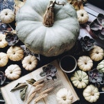 Pumpkins 🎃 | coffee, autumn 그리고 fall Pumpkins 🎃  | coffee, autumn 그리고 fall