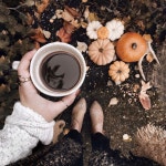 Pumkin | autumn, fall 그리고 cafe