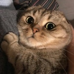 cute, photography 그리고 inspiration We Heart It의 이미지