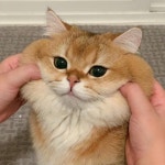 love, cute 그리고 beautiful We Heart It의 이미지