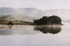 nature, water 그리고 trees We Heart It의 이미지