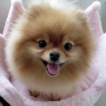 We Heart It의 이미지