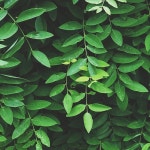 We Heart It의 이미지