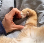 We Heart It의 이미지