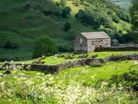 The Shire | beautiful, photography 그리고 aesthetic