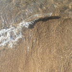 nature, beach 그리고 sea We Heart It의 이미지