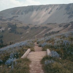 beautiful, tumblr 그리고 aesthetic We Heart It의 이미지