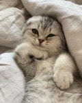 cute, tumblr 그리고 lovely We Heart It의 이미지