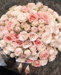 beautiful, pink 그리고 rose We Heart It의 이미지