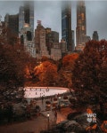 travel, city 그리고 autumn We Heart It의 이미지