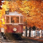 Autumn 