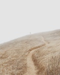 We Heart It의 이미지
