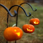 We Heart It의 {collection_name} 이미지 68개 | kneesocks, autumn 그리고 fall 이미지 더 보기 autumn