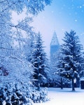blue, winter 그리고 city We Heart It의 이미지