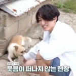 cute, bts 그리고 jungkook We Heart It의 이미지
