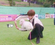 cute, bts 그리고 jungkook We Heart It의 이미지