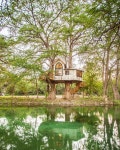happy, forest 그리고 woods We Heart It의 이미지