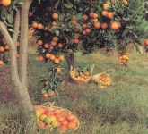 297e8262a56f623bbbf0f9c39c6a4d3ea73a64a9.jpg (1920×1744) | fashion, style 그리고 makeup