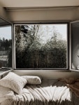 nature, home 그리고 design We Heart It의 이미지