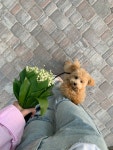 We Heart It의 이미지