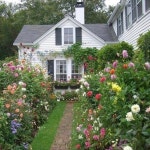 f7ac5c930cfc1e5f96419cf344e5a6b6db8cdba7.jpg (745×745) | beautiful, tumblr 그리고 sun