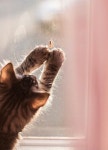 We Heart It의 이미지