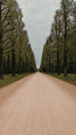 Park road | green, brown 그리고 spring Park road  | green, brown 그리고 spring