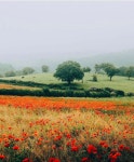 We Heart It의 이미지