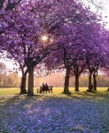 Nature ❤️ ❤️@_Naina | love, beauty 그리고 couple Nature ❤️❤️@_Naina  | love, beauty 그리고 couple