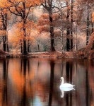 Nature ❤️ ❤️@_Naina | beautiful, beauty 그리고 amazing Nature ❤️❤️@_Naina  | beautiful, beauty 그리고 amazing