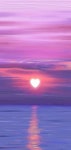 Nature ❤️ ❤️@_Naina | love, beautiful 그리고 beauty Nature ❤️❤️@_Naina  | love, beautiful 그리고 beauty