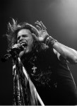 aerosmith 그리고 steven tyler We Heart It의 이미지