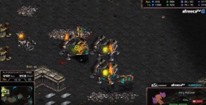 와이고수 - 가만보니까 이번 asl24강 한두열이 강태완 뮤탈 관광했던것도 2햇뮤였네 가만보니까 이번 asl24강 한두열이 강태완 뮤탈... 