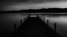 와이고수 - 곱창 막창 순대 왜 먹는거임??? 곱창 막창 순대 왜 먹는거임???