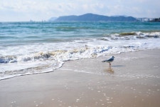 와이고수 - 부산 해운대 부산 해운대