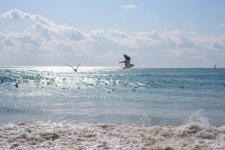 와이고수 - 부산 해운대 부산 해운대