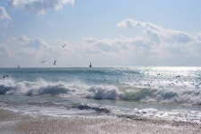 와이고수 - 부산 해운대 부산 해운대