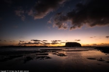 와이고수 - #0008 #0008